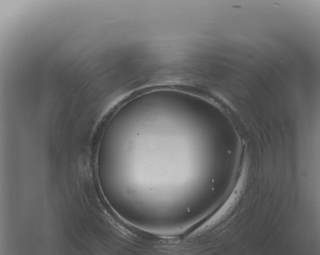 X0000061151452200511241818