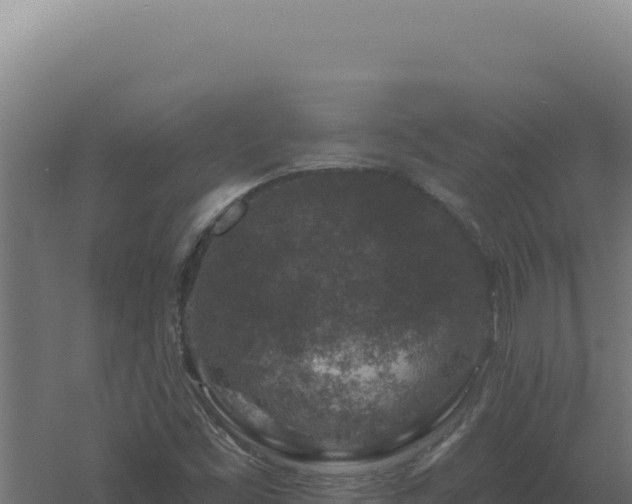 X0000061151453200511241818