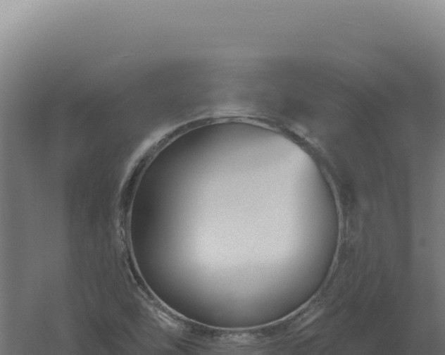 X0000061151454200511241818