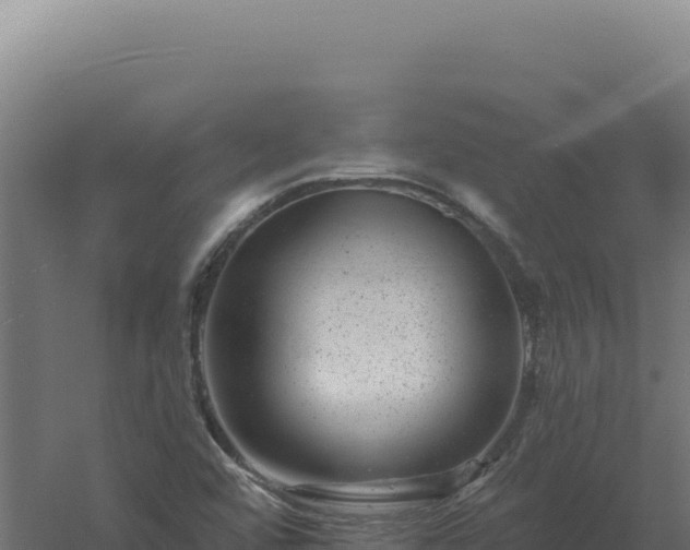 X0000061151456200511241818