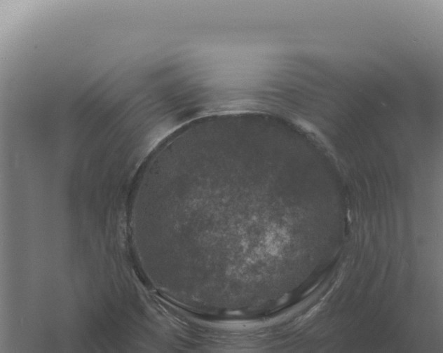 X0000061151457200511241818