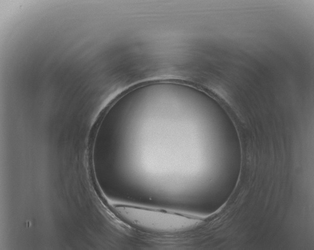 X0000061151460200511241818