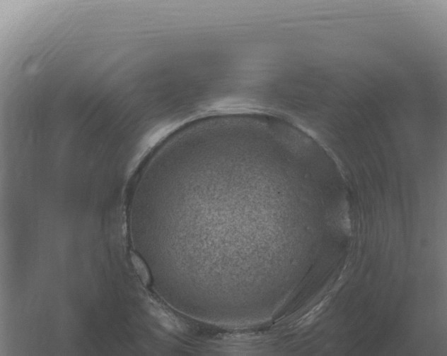 X0000061151461200511241818