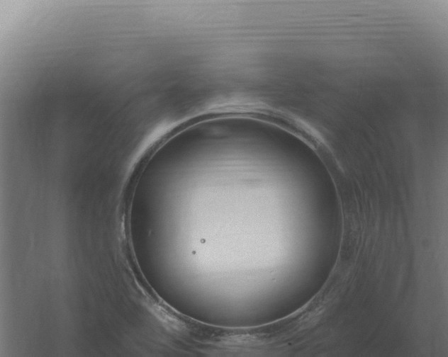 X0000061151462200511241818