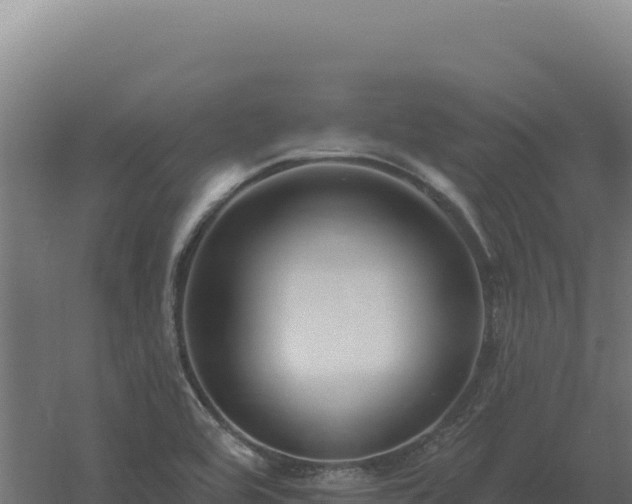 X0000061151464200511241818