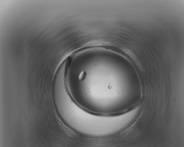 X0000061151465200511241818