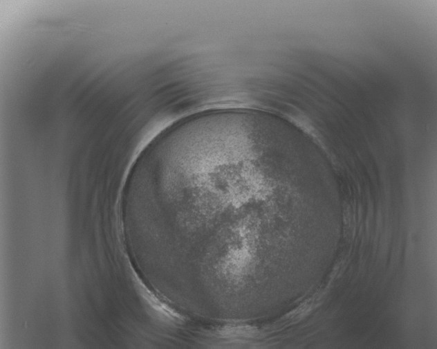 X0000061151466200511241818