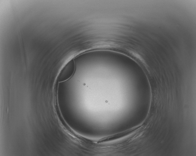 X0000061151467200511241818