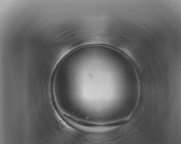 X0000061151468200511241818