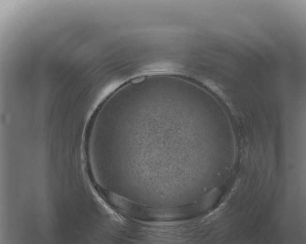 X0000061151469200511241818