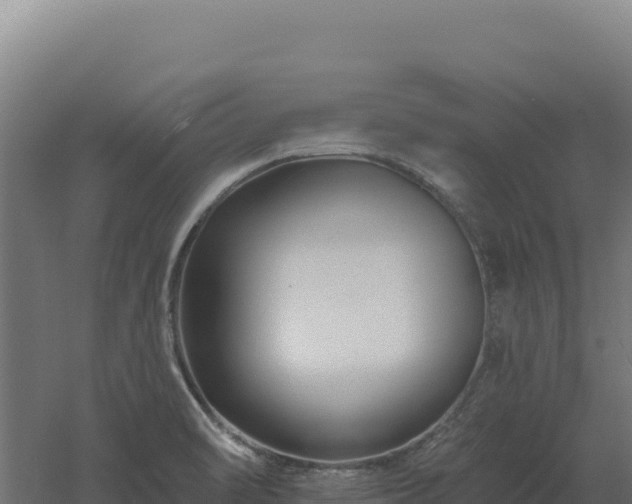 X0000061151470200511241818