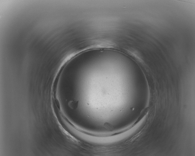 X0000061151471200511241818