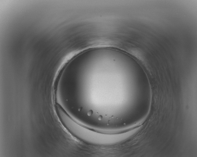 X0000061151472200511241818