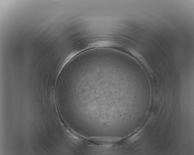 X0000061151473200511241818