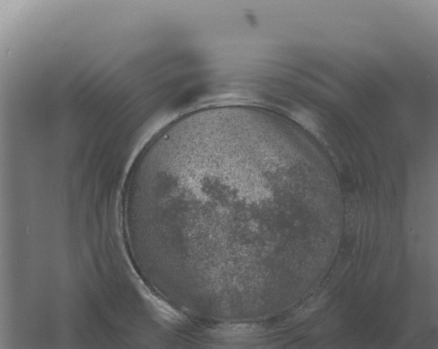 X0000061151474200511241818