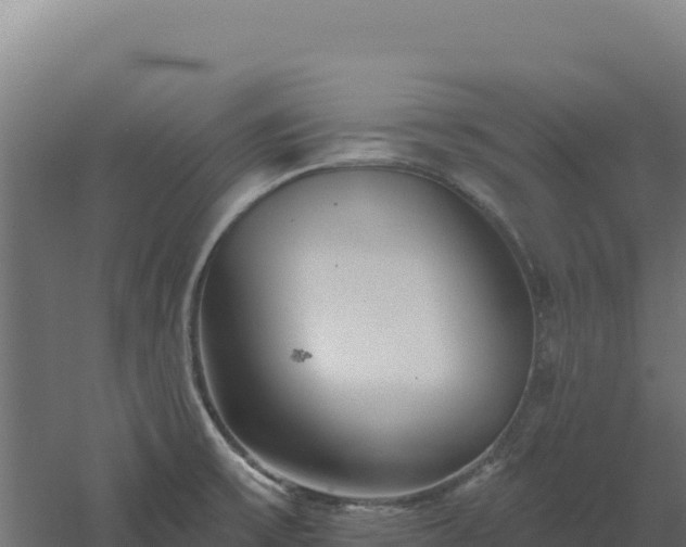 X0000061151475200511241818