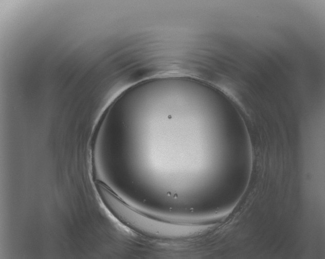 X0000061151476200511241817