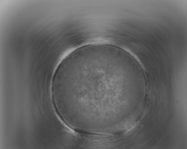 X0000061151477200511241817