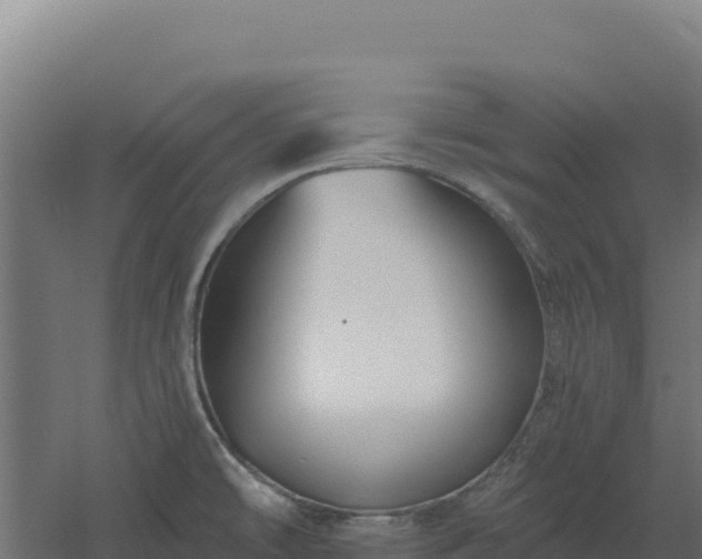 X0000061151478200511241817