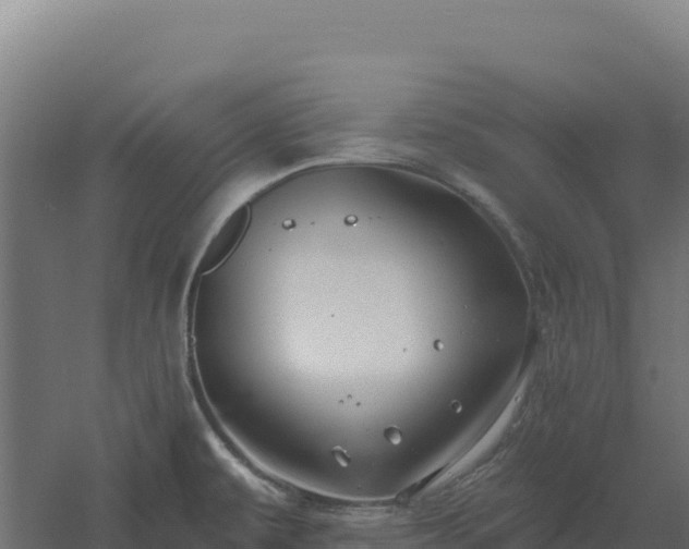 X0000061151479200511241817