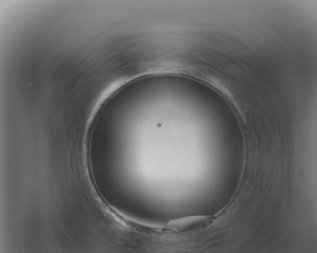 X0000061151480200511241817