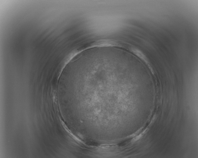 X0000061151481200511241817