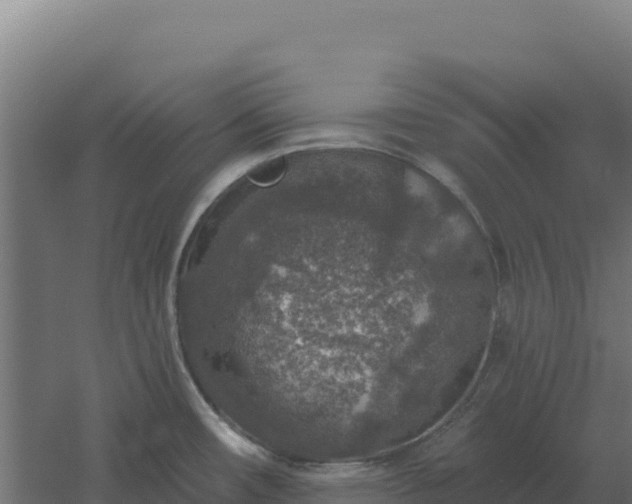 X0000061151482200511241817