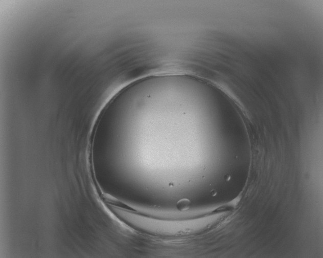 X0000061151484200511241817