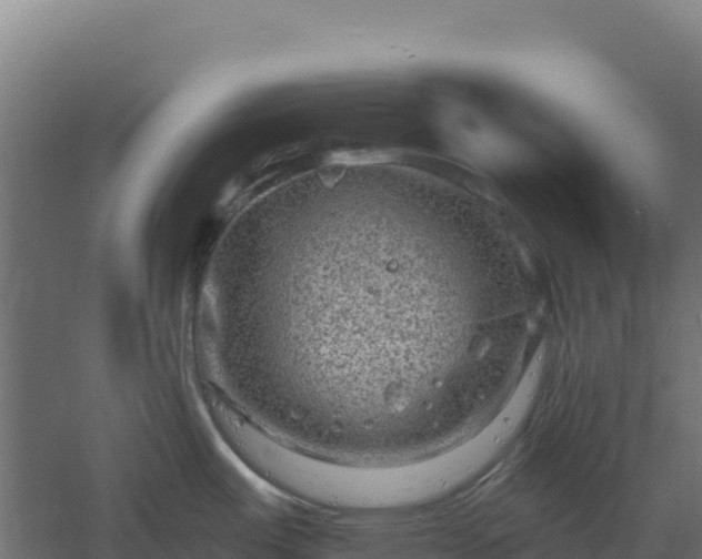 X0000061151487200511241817