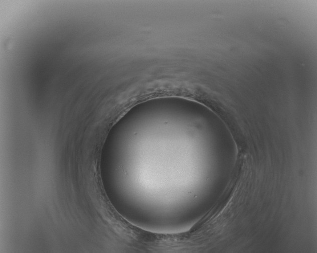 X0000061151489200511241816