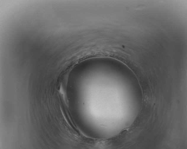 X0000061151490200511241816