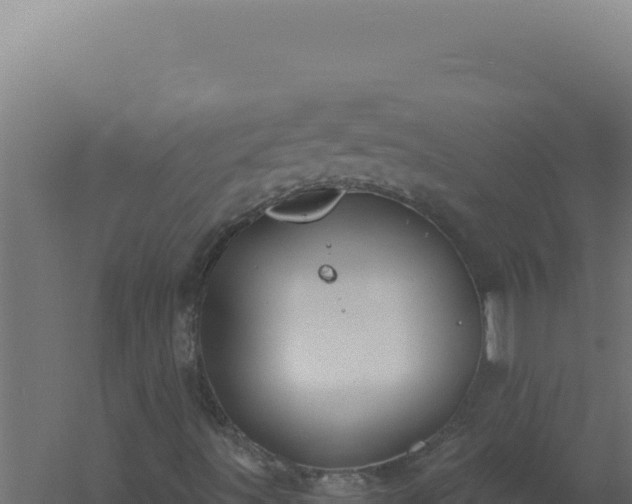 X0000061151491200511241816