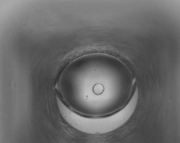 X0000061151492200511241816