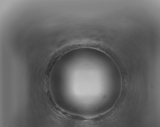 X0000061151493200511241817