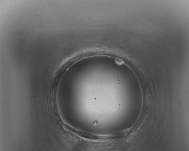 X0000061151494200511241817