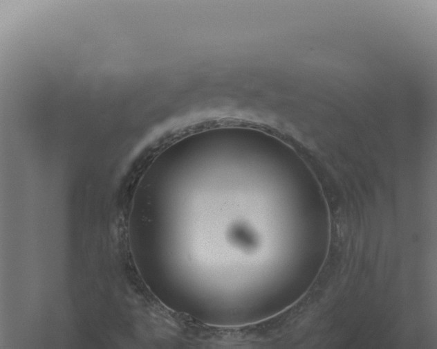 X0000061151495200511241817