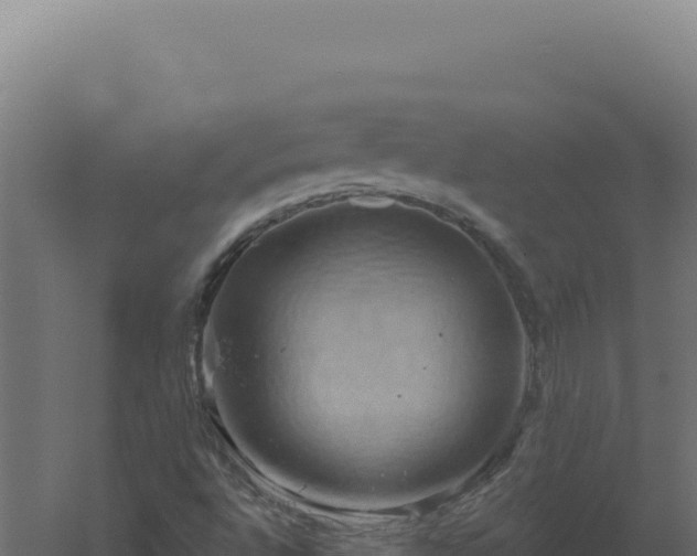 X0000061151496200511241817