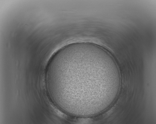 X0000061151498200511241817