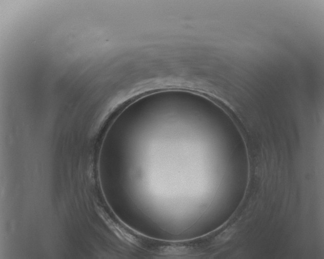 X0000061151499200511241817