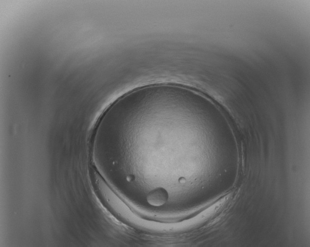 X0000061151500200511241817