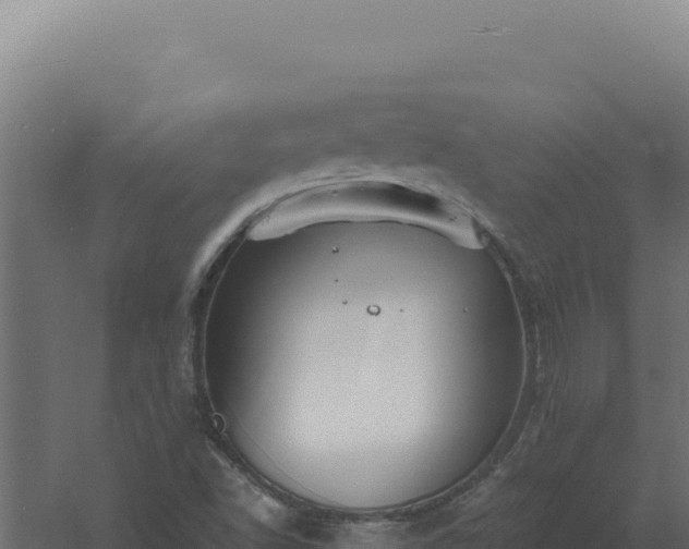 X0000061151502200511241817