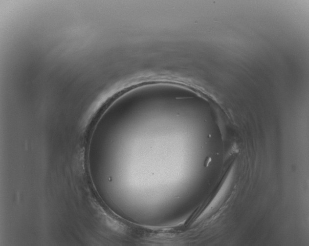 X0000061151503200511241817