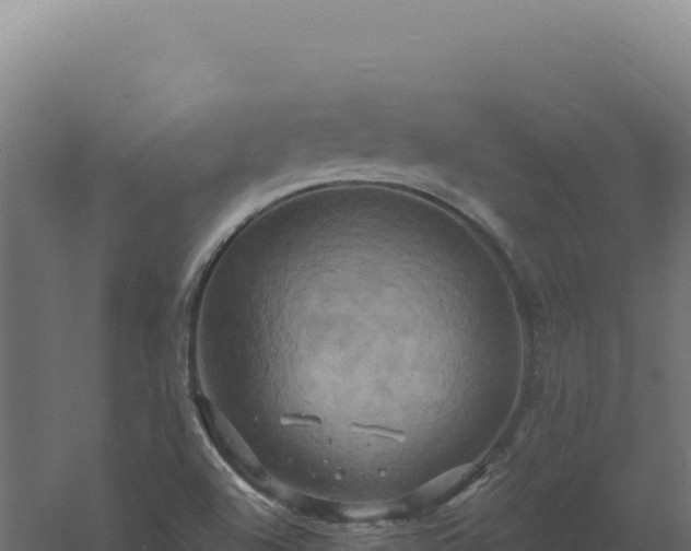 X0000061151504200511241817