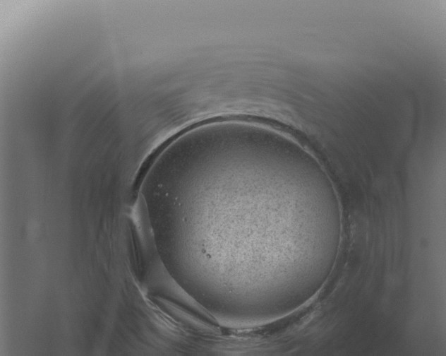 X0000061151505200511241817