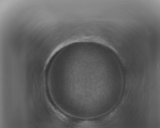 X0000061151506200511241817