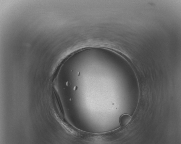 X0000061151507200511241817