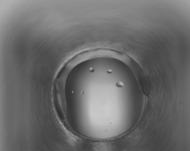 X0000061151508200511241817