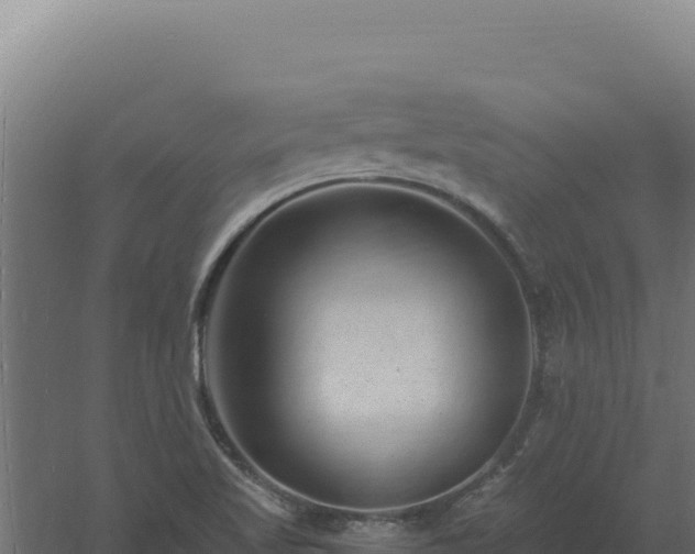 X0000061151509200511241817