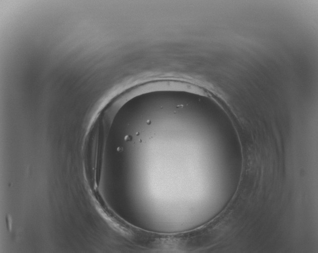 X0000061151511200511241817