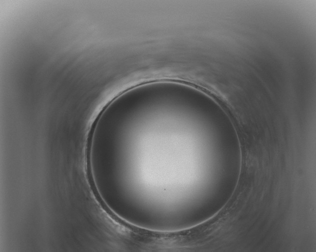 X0000061151512200511241817